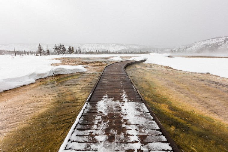 41 Yellowstone NP.jpg